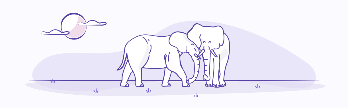 Elephants caring for each other